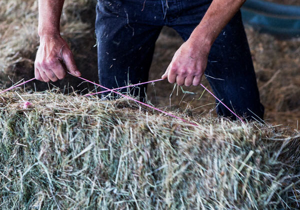 Moving-hay-bails-Square_WEB